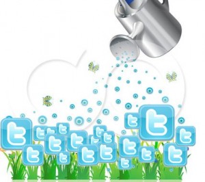 , Water your Twitter Garden, with Austin Digital Marketing!, HS Creative