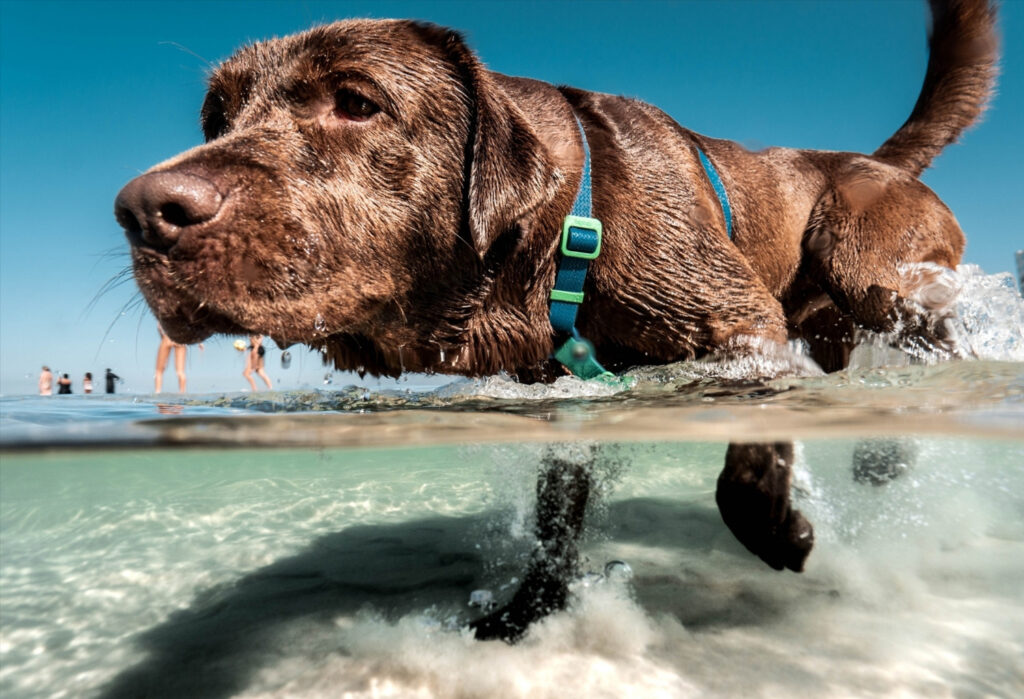 , Refund Retriever, HS Creative